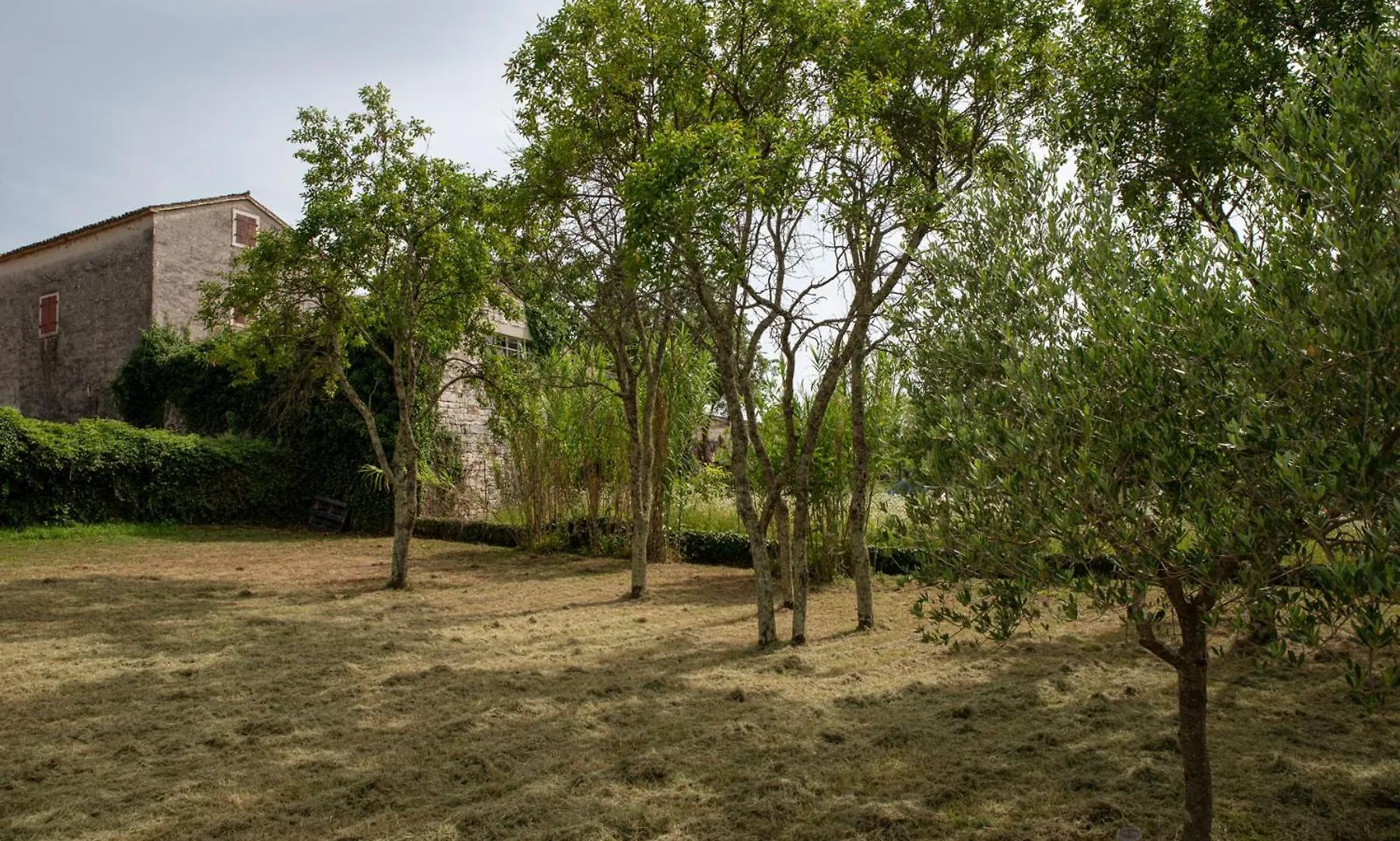 Villa Celestina, Majkusi